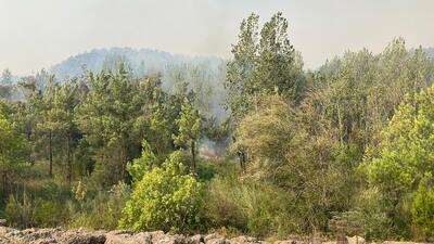 Yangın santralin kapısına dayandı