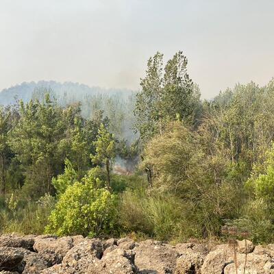 Yangın santralin kapısına dayandı