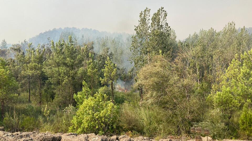 Yangın santralin kapısına dayandı