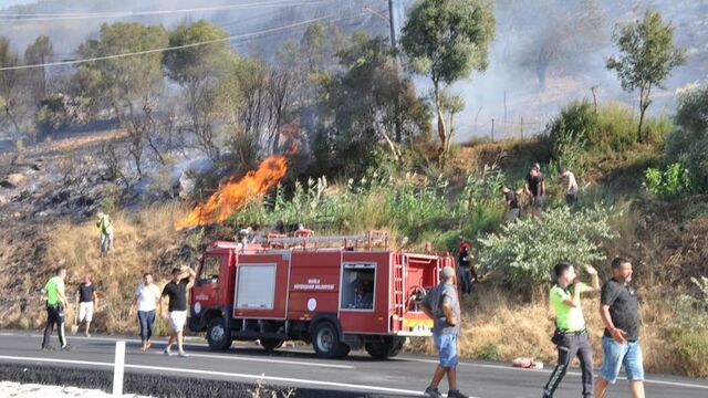 Milas'taki orman yangınıyla ilgili soruşturma