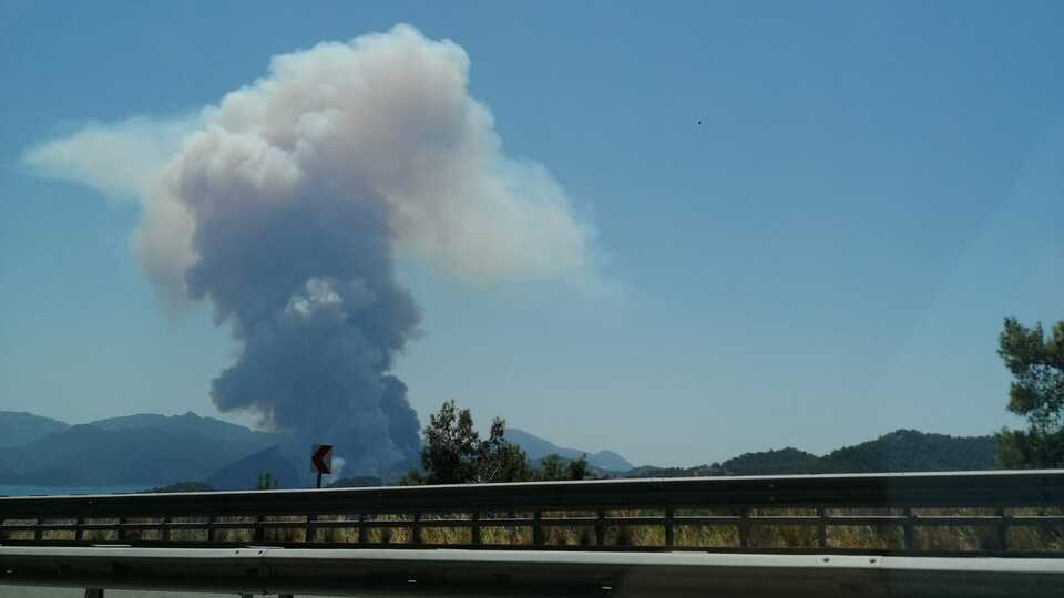 Bir orman yangını da Marmaris'te çıktı!