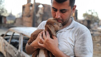 Alevlerin arasında doğan 'Mucize'