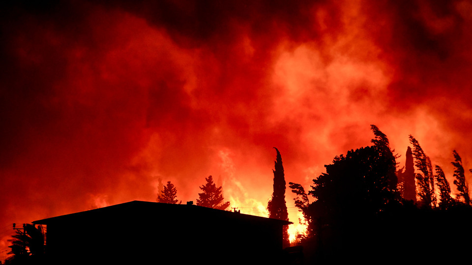 Hangi illerde yangın çıktı?