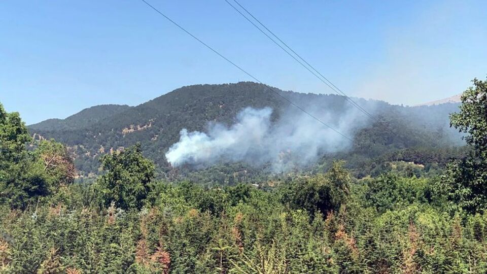 İzmir Ödemiş'te orman yangını