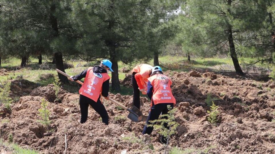 TEMA Vakfı'ndan fidan bağış kampanyası