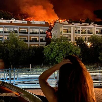 Türkiye yanıyor! Yangınlarda son durum