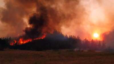 Türkiye'yi saran yangınlarla ilgili ilk rapor