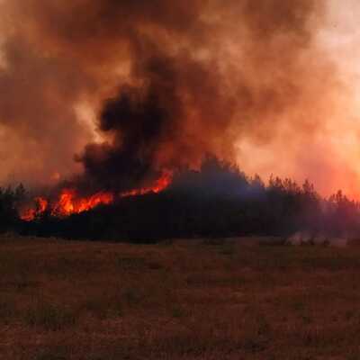 Türkiye'yi saran yangınlarla ilgili ilk rapor