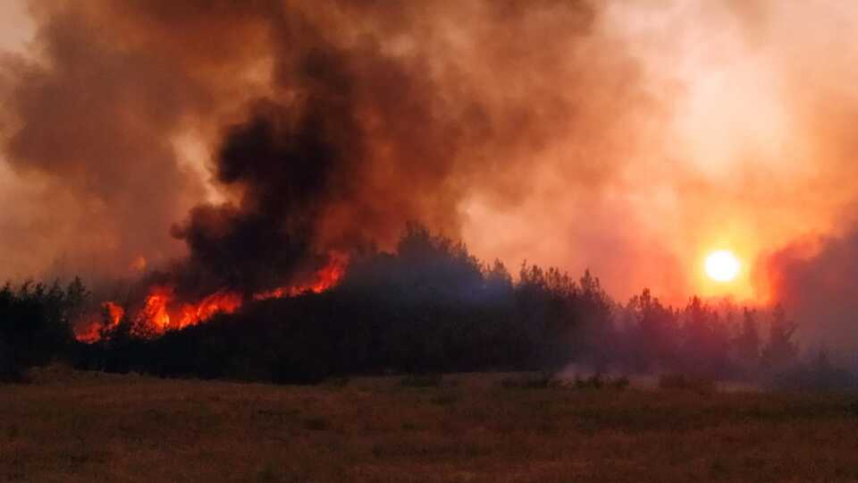 Türkiye'yi saran yangınlarla ilgili ilk rapor
