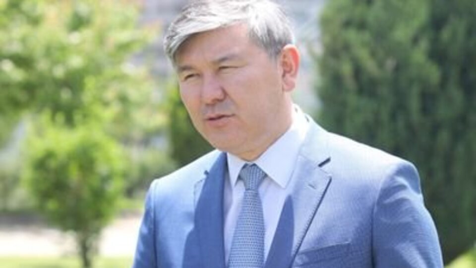 Kazakistan'dan dostluk ormanı teklifi