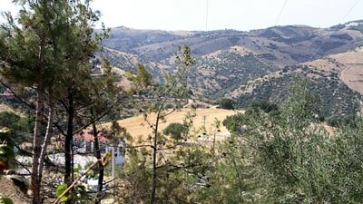 Zamanında müdahale, orman yangınını önledi