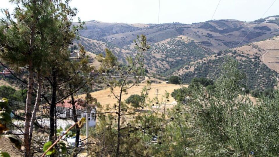 Zamanında müdahale, orman yangınını önledi