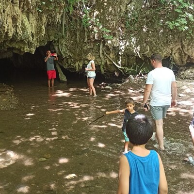 Dilek ağacıydı! Şimdi ise...