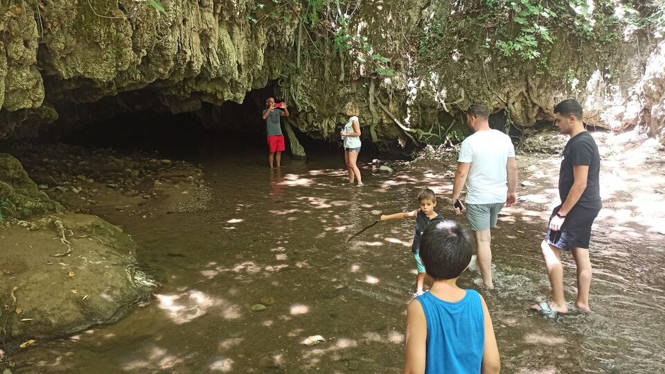 Dilek ağacıydı! Şimdi ise...