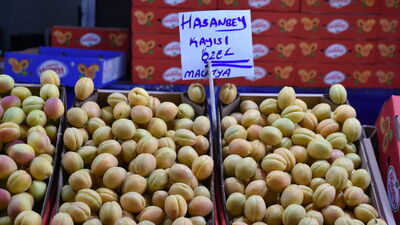 Yaş kayısının ihracat değeri arttı