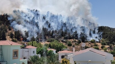 KKTC'de ormanlık alanda yangın