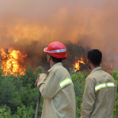 Acı haber! 2 orman işçisi hayatını kaybetti