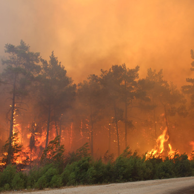 Türkiye alev alev! Bunları herkes öğrenmeli
