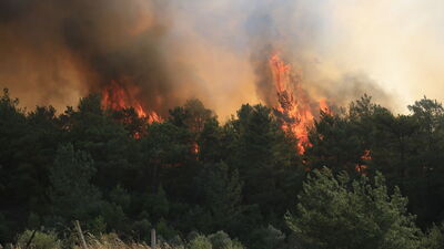 Milas'taki yangın büyüyor: Bodrum'a sıçradı!