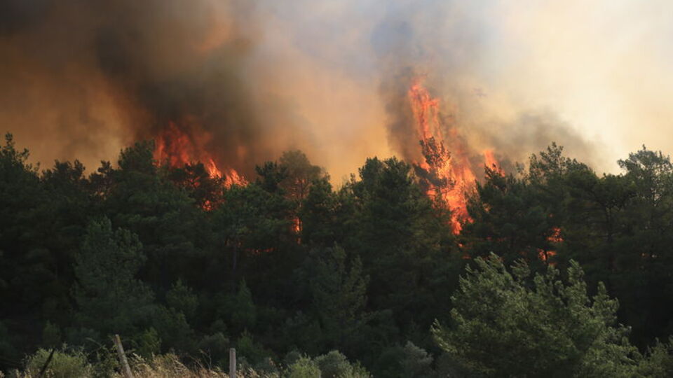 Milas'taki yangın büyüyor: Bodrum'a sıçradı!
