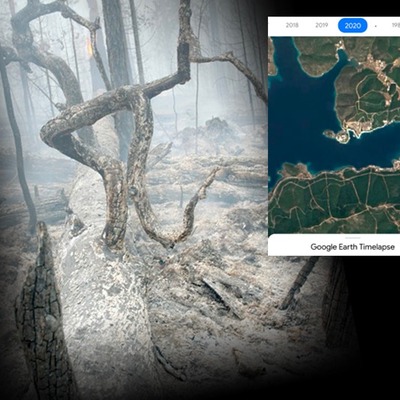 Giden orman hiç gelmedi!