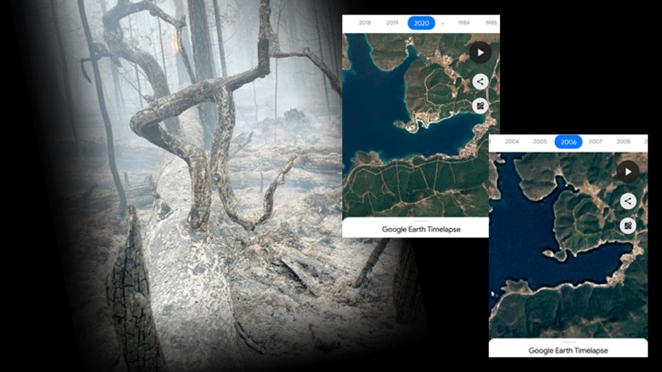 Giden orman hiç gelmedi!