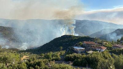 Ordu'da ormanlık alanlara girişler 1 Ekim'e kadar yasaklandı
