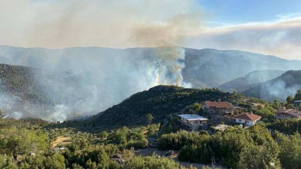 Ordu'da ormanlık alanlara girişler 1 Ekim'e kadar yasaklandı