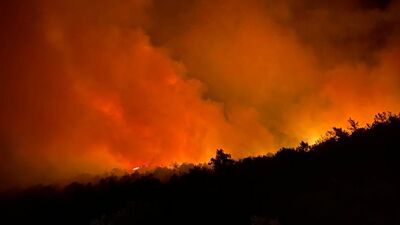 Orman yangınlarında son durum
