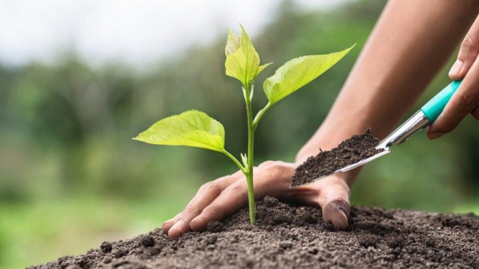 Geleceğe Nefes Ol başvuru ekranı!