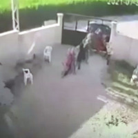 Caninin yeğeninden koruma talebi!