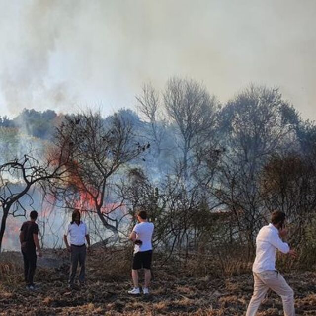 Akıma kapılan atmaca makilik alanda yangın çıkardı