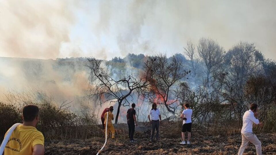 Akıma kapılan atmaca makilik alanda yangın çıkardı