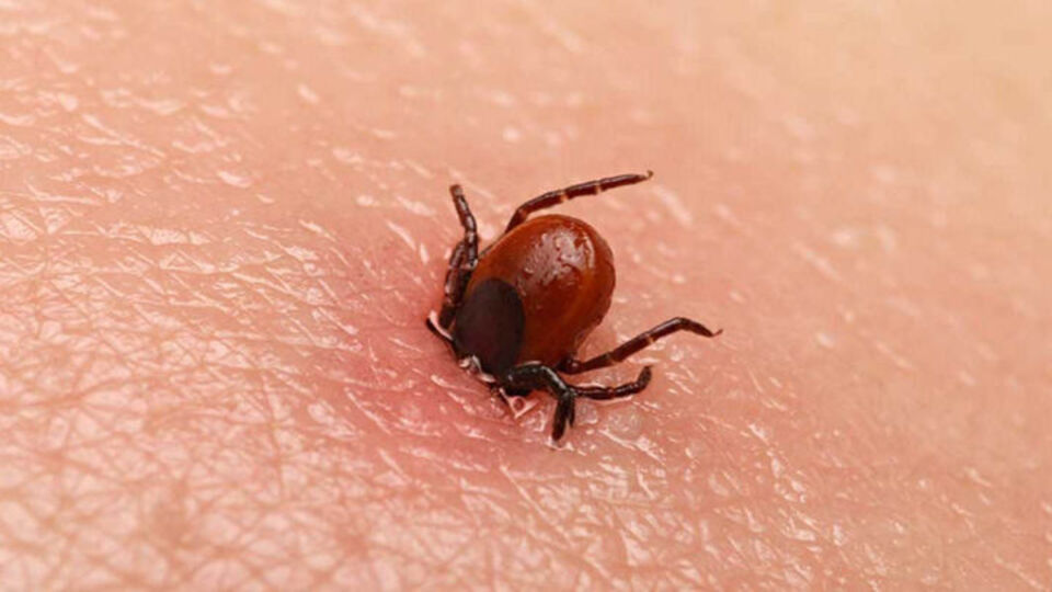 14 kişi ölmüştü, çiftçilere uyarı!