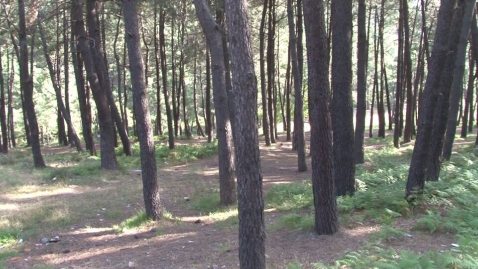 6 ilde ormanlara girişler yasaklandı