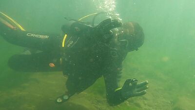 İzmit Körfezi'nde müsilajın etkisi azalıyor