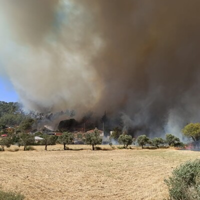 Canlı yayında alevler büyüdü!