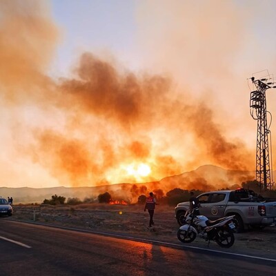 Nallıhan Kuş Cenneti'ndeki yangın kontrol altında