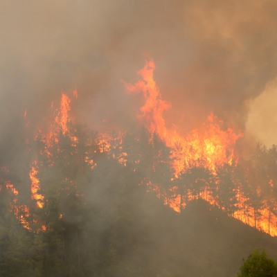 Manavgat'ta alevler hız kesmiyor!