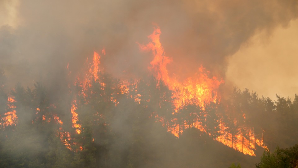 Manavgat'ta alevler hız kesmiyor!
