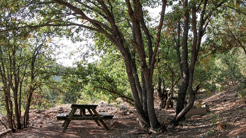 Tunceli'de ormanlık alanlara 30 günlük giriş yasağı