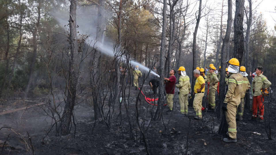 İzmir'de orman yangını