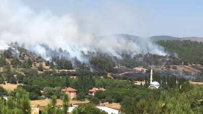 Uşak'ta arazide çıktı, ormana sıçradı