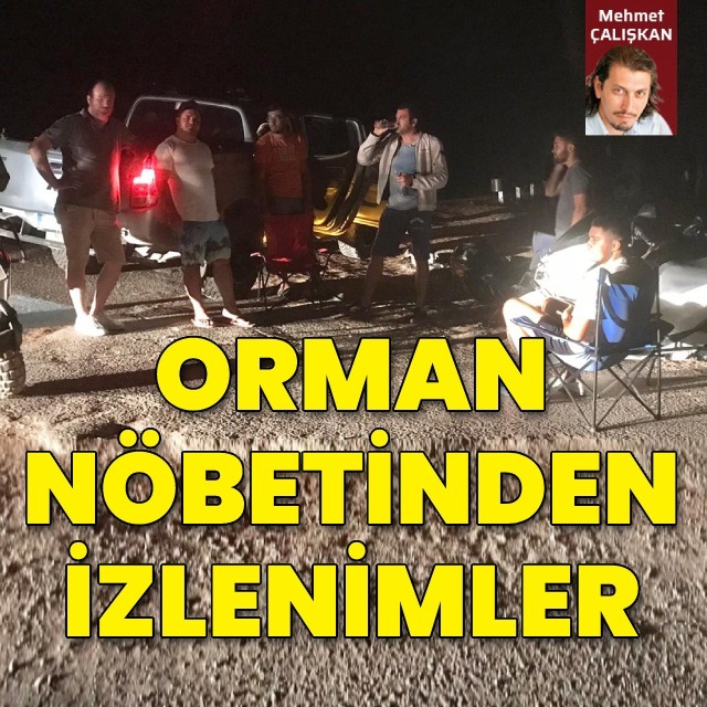 Orman nöbetinden izlenimler