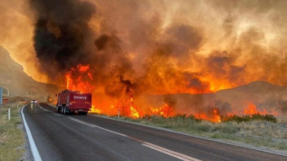 Nallıhan Kuş Cenneti'ndaki yangının sebebi belli oldu!