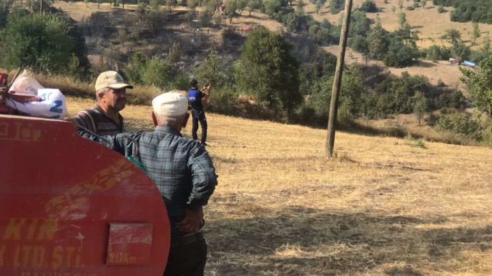 Balıkesir'de orman yangını