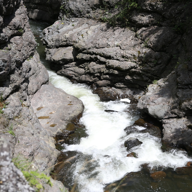 Karadeniz'in saklı güzelliği Küpkaya Kanyonu