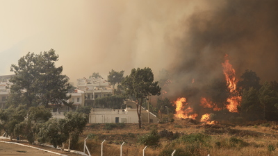 Milas Belediye Başkanı son durumu anlattı