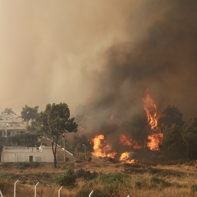Milas Belediye Başkanı son durumu anlattı