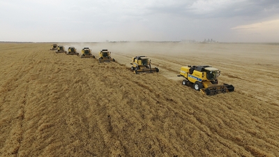 Tarım ihracatı 7 ayda yüzde 35 arttı